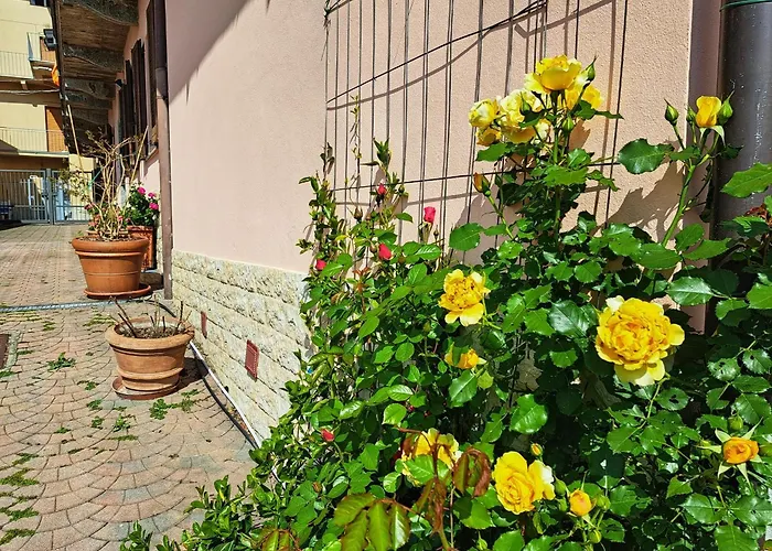 Le Rose Sul Lago